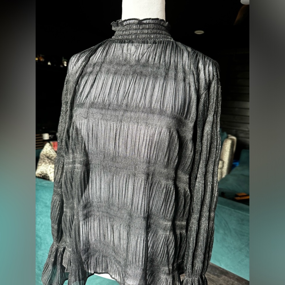 Sheer, mock neck, long sleeve blouse from Express